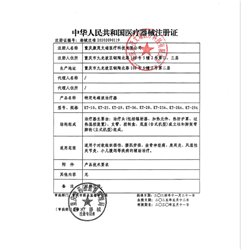 加加林特定電磁波治療器KT-10（紅外發光臺式大頭）